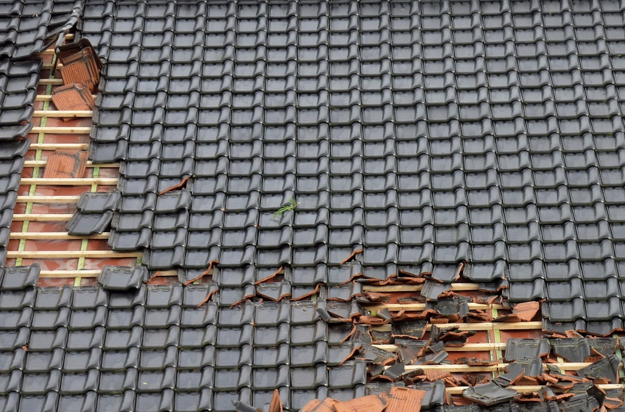 storm damage